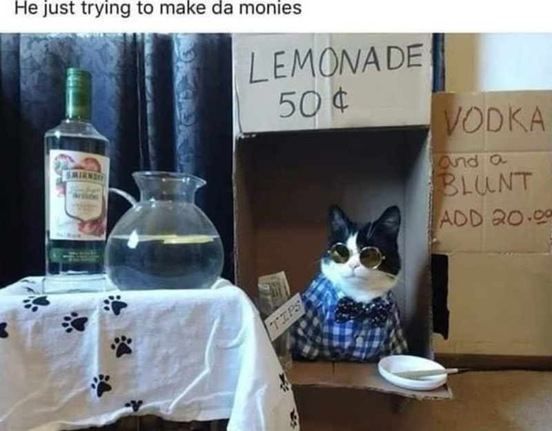 He just trying to make da monies SMIRN LEMONADE 50¢ VODKA and a BLUNT ADD 20.09 TIPS