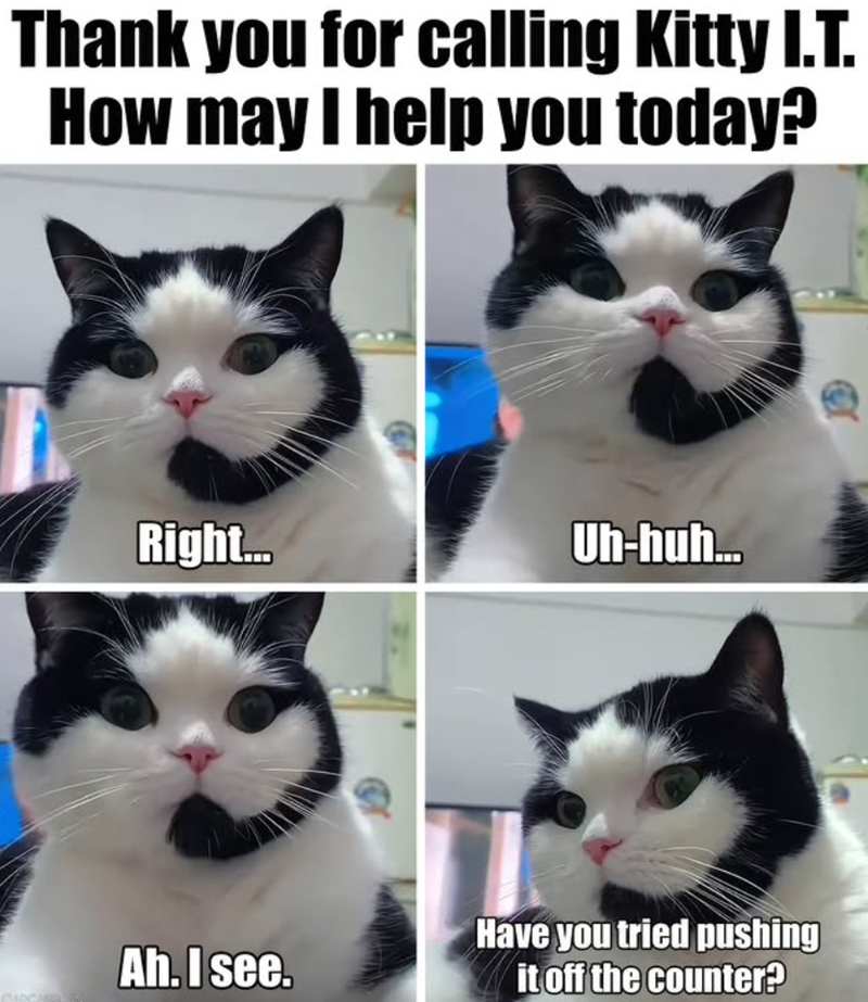 Thank you for calling Kitty I.T. How may I help you today? Right... Uh-huh... Ah. I see. Have you tried pushing it off the counter?