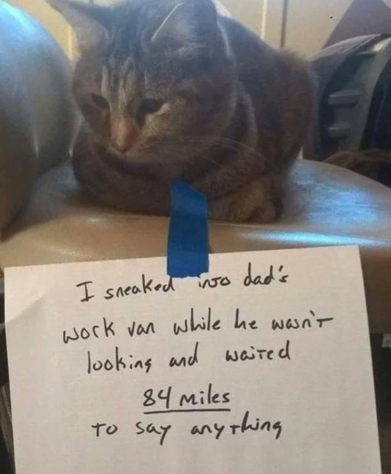 I sneaked 50 dad's work van while he wasn't looking and waited 84 Miles To say anything