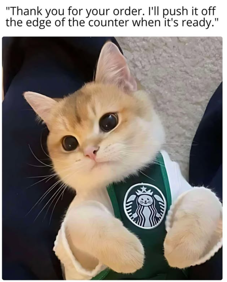 "Thank you for your order. I'll push it off the edge of the counter when it's ready."