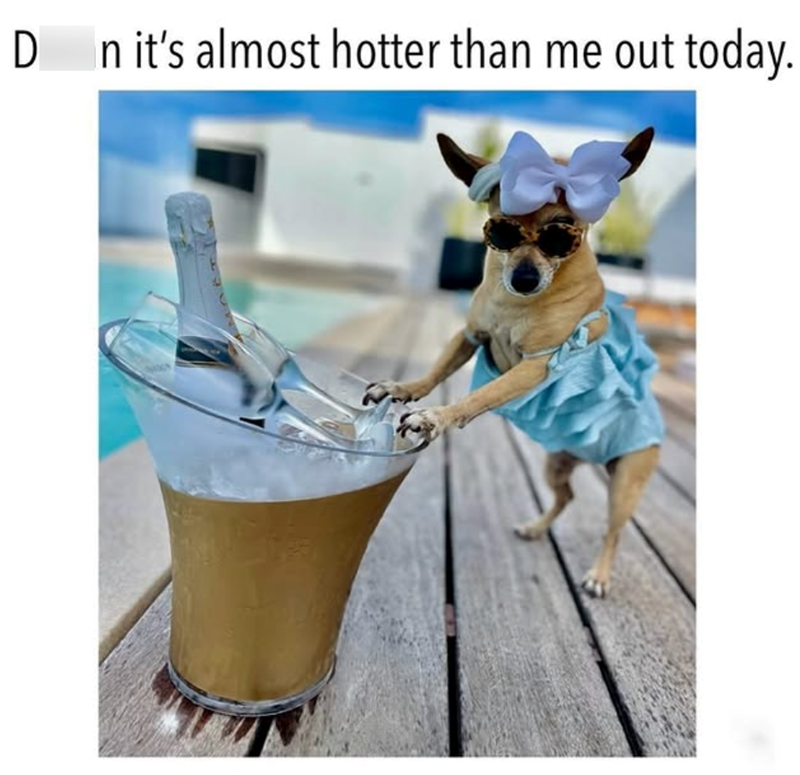 D n it's almost hotter than me out today.
