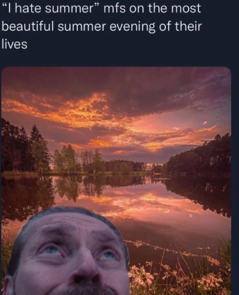 "I hate summer" mfs on the most beautiful summer evening of their lives 饭