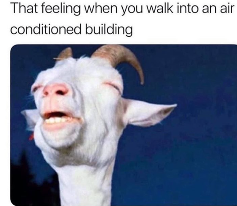 That feeling when you walk into an air conditioned building