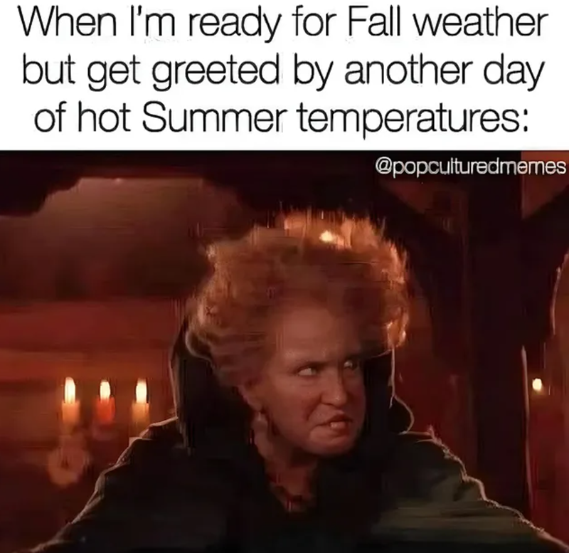 When I'm ready for Fall weather but get greeted by another day of hot Summer temperatures: @popculturedmemes