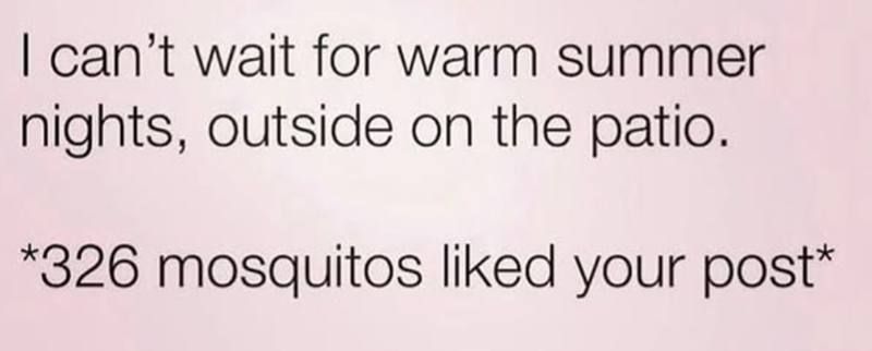 I can't wait for warm summer nights, outside on the patio. *326 mosquitos liked your post*
