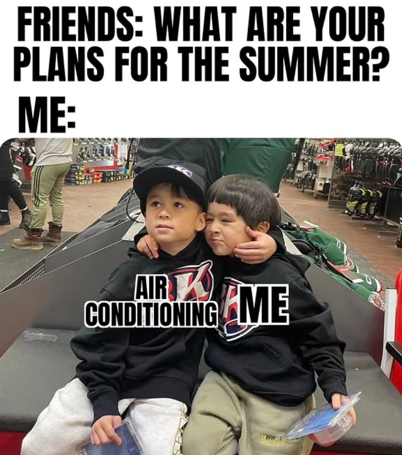 FRIENDS: WHAT ARE YOUR PLANS FOR THE SUMMER? ME: AIRME CONDITIONING ME Now sn Service