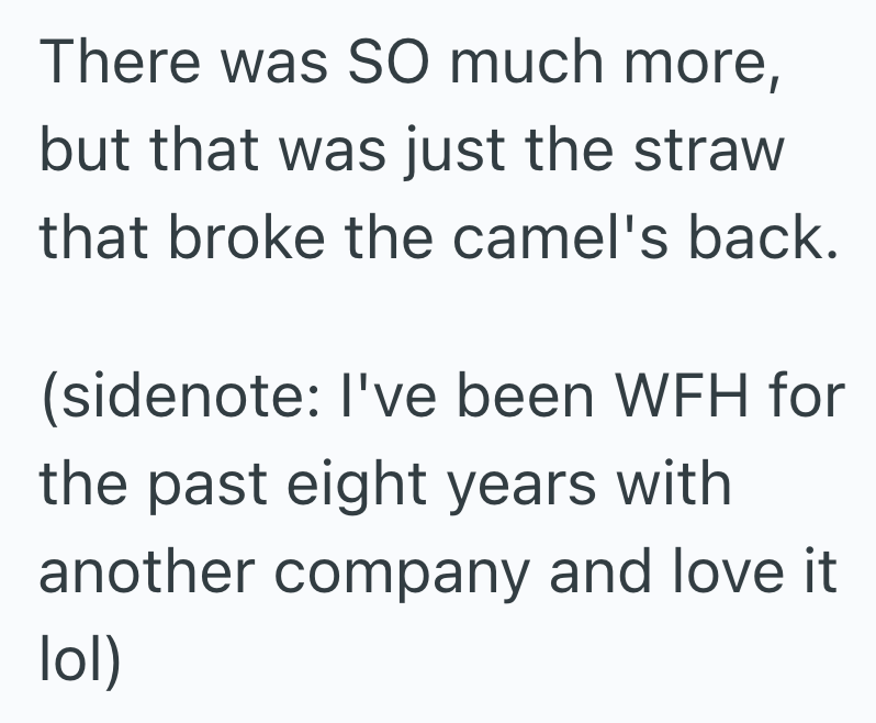There was SO much more, but that was just the straw that broke the camel's back. (sidenote: I've been WFH for the past eight years with another company and love it. lol)