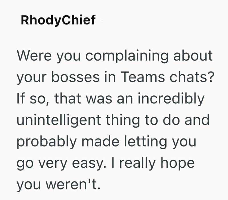 RhodyChief Were you complaining about your bosses in Teams chats? If so, that was an incredibly unintelligent thing to do and probably made letting you go very easy. I really hope you weren't.