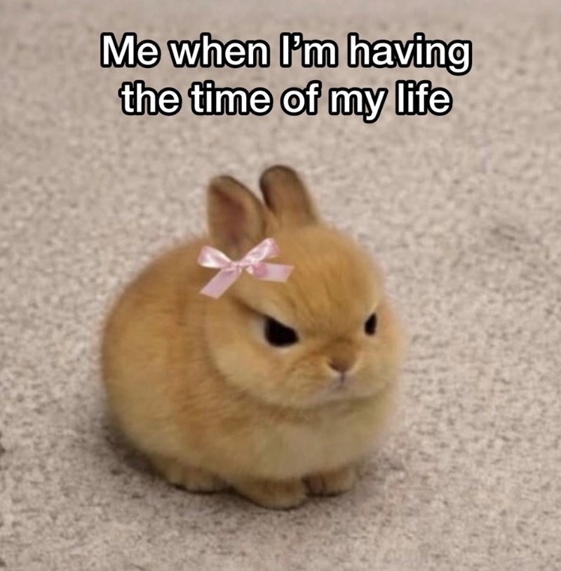 Me when I'm having the time of my life