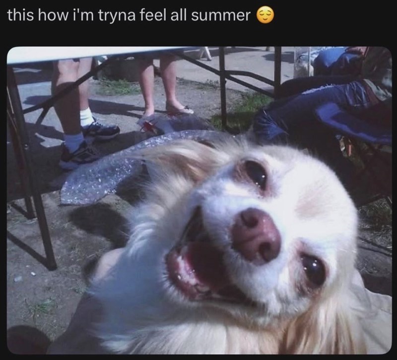 this how i'm tryna feel all summer