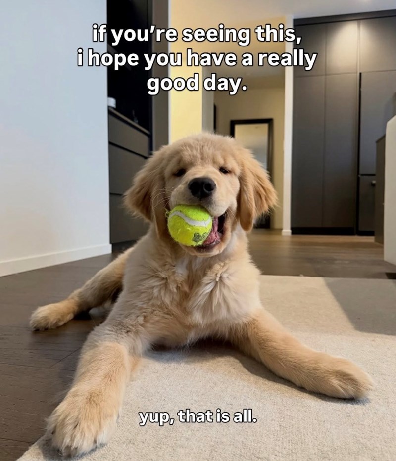 if you're seeing this, i hope you have a really good day. yup, that is all.