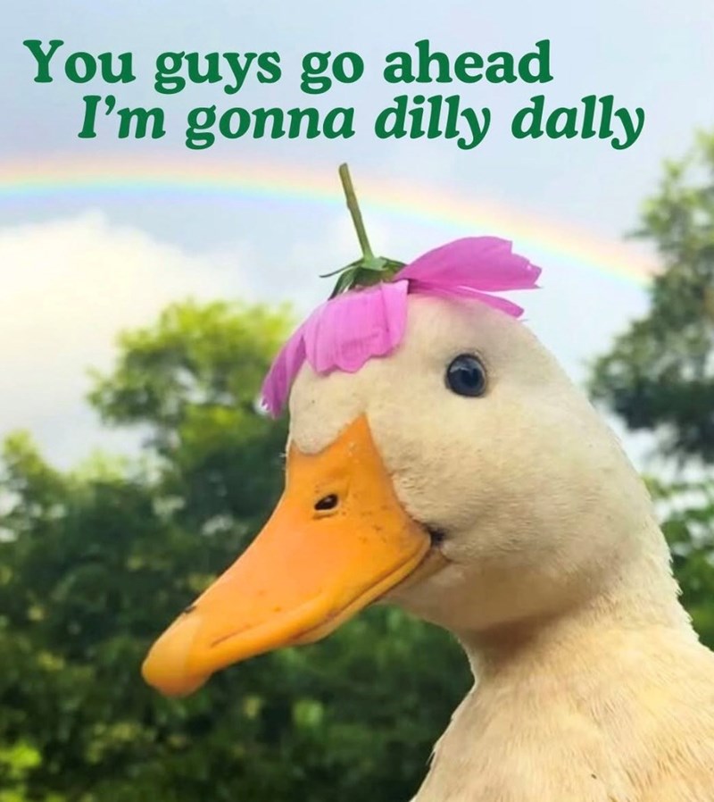 You guys go ahead I'm gonna dilly dally