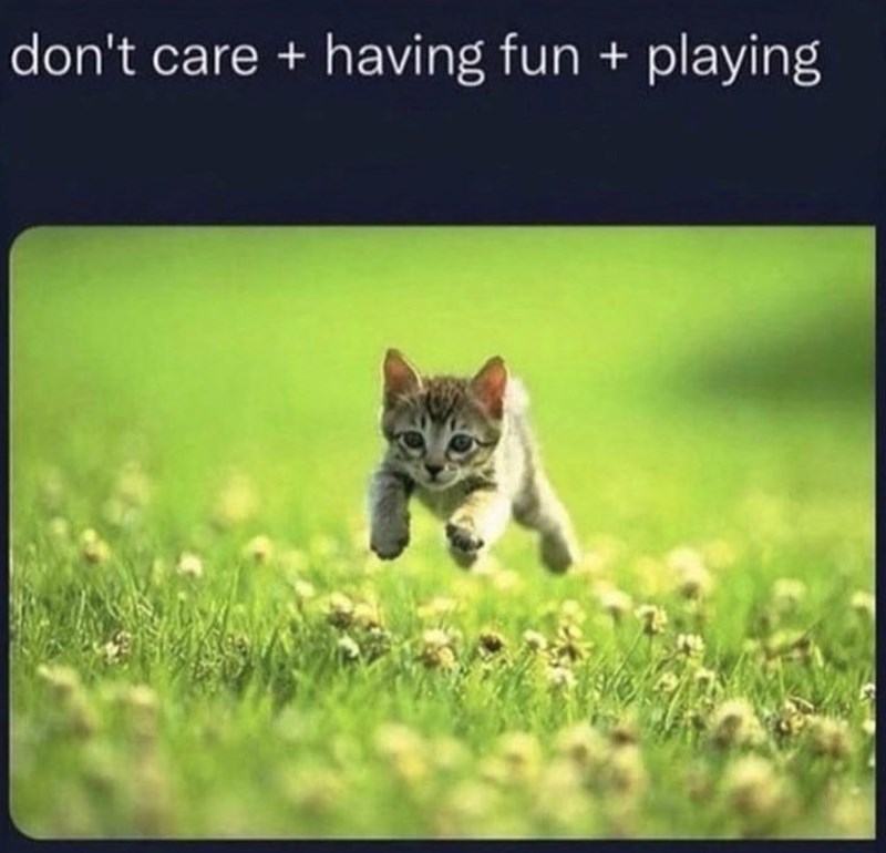 don't care + having fun + playing