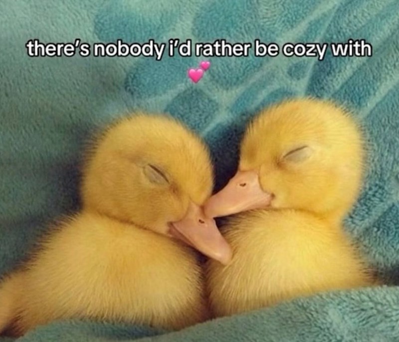 there's nobody i'd rather be cozy with