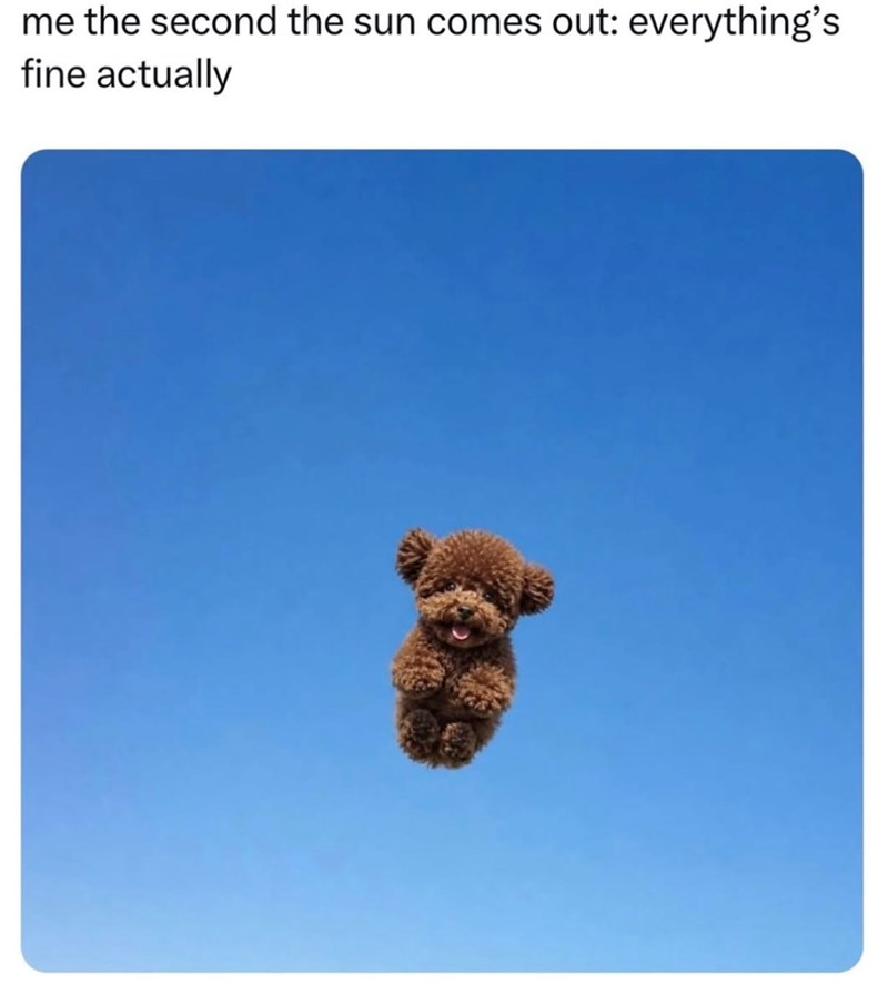 me the second the sun comes out: everything's fine actually