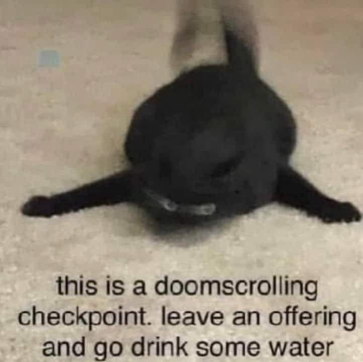 this is a doomscrolling checkpoint. leave an offering and go drink some water