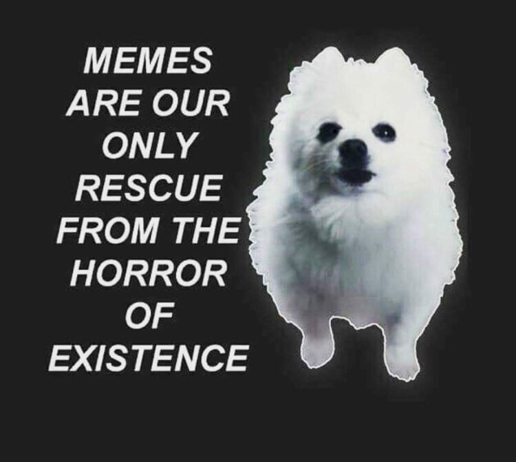 MEMES ARE OUR ONLY RESCUE FROM THE HORROR OF EXISTENCE