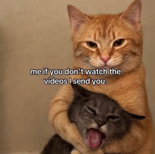 me if you don't watch the videos I send you.
