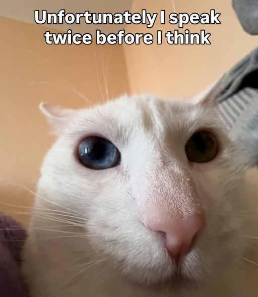 Unfortunately I speak twice before I think