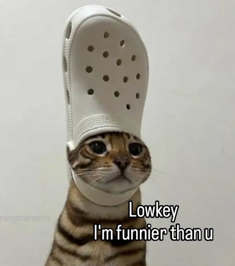 rangecarmeme Lowkey I'm funnier than u