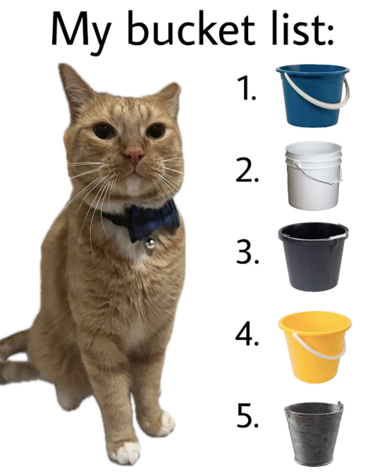 My bucket list: 1. 2. 3. 4. 5.
