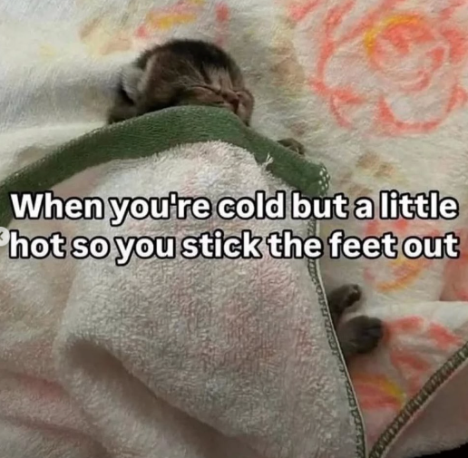 When you're cold but a little hot so you stick the feet out