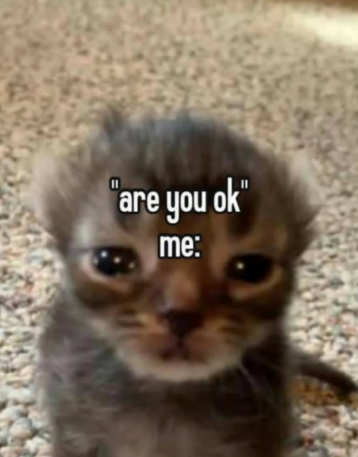 "are you ok" me: