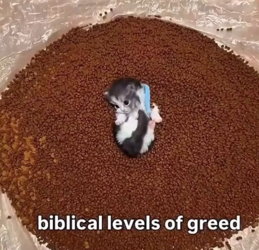 biblical levels of greed