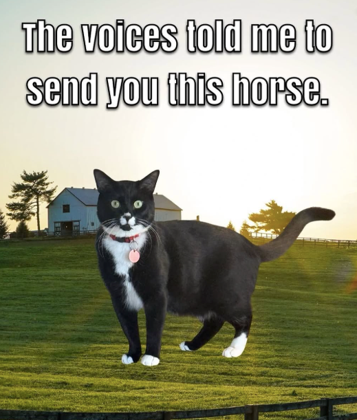 The voices told me to send you this horse.