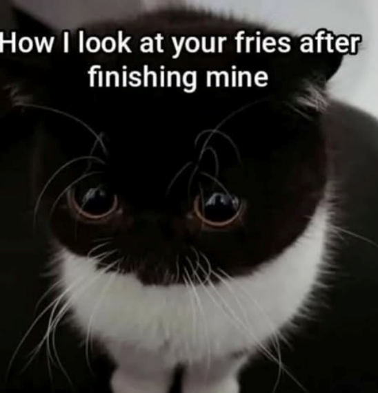 How I look at your fries after finishing mine