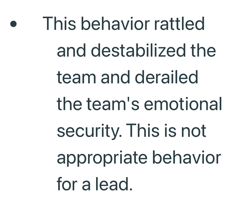 This behavior rattled and destabilized the team and derailed the team's emotional security. This is not appropriate behavior for a lead.