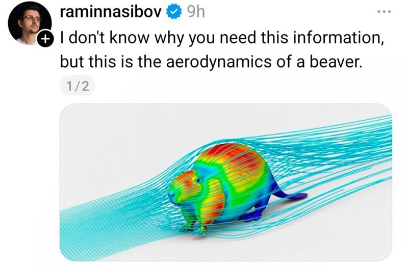 raminnasibov ❤9h I don't know why you need this information, but this is the aerodynamics of a beaver. 1/2