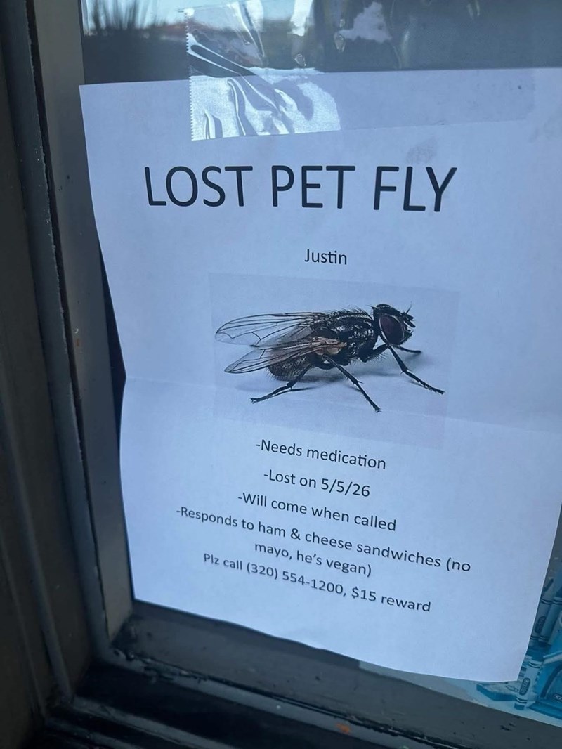LOST PET FLY Justin -Needs medication -Lost on 5/5/26 -Will come when called -Responds to ham & cheese sandwiches (no mayo, he's vegan) Plz call (320) 554-1200, $15 reward