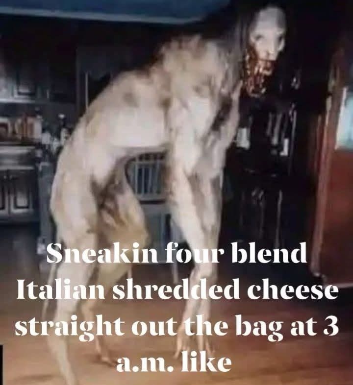 Sneakin four blend Italian shredded cheese straight out the bag at 3 a.m. like
