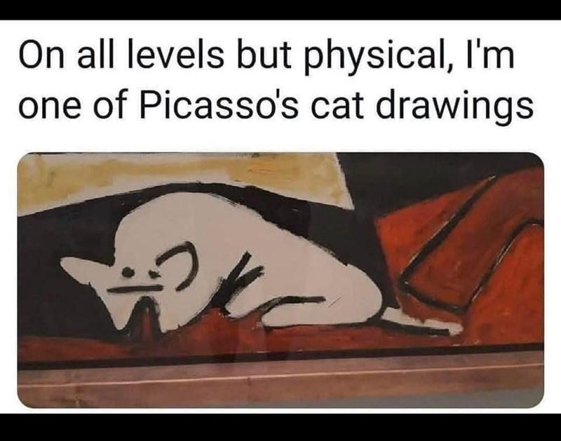 On all levels but physical, I'm one of Picasso's cat drawings