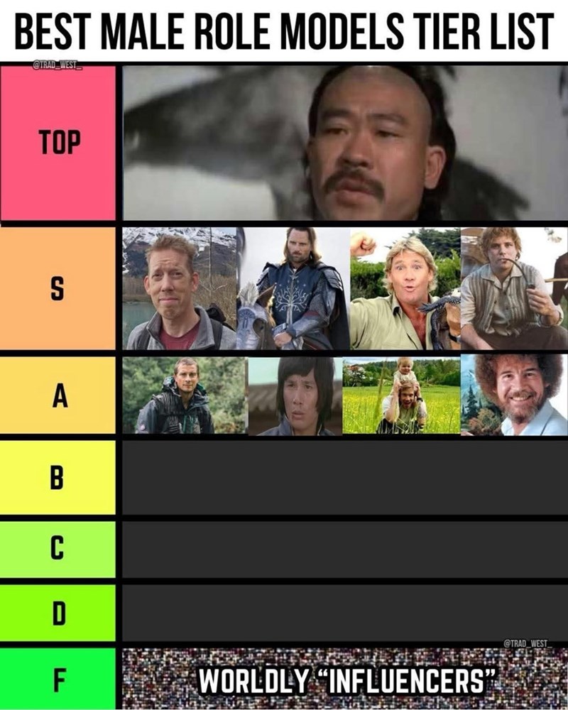 BEST MALE ROLE MODELS TIER LIST @TRAD WEST TOP S A םם B C D @TRAD WEST F WORLDLY "INFLUENCERS"