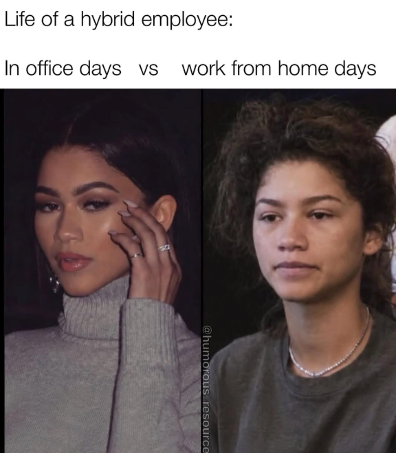 Life of a hybrid employee: In office days vs work from home days @humorous resource