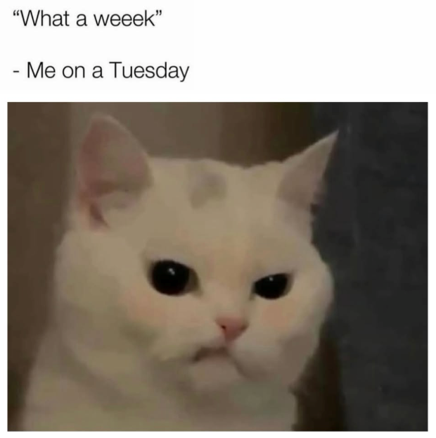 "What a weeek" - Me on a Tuesday
