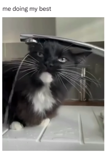 me doing my best