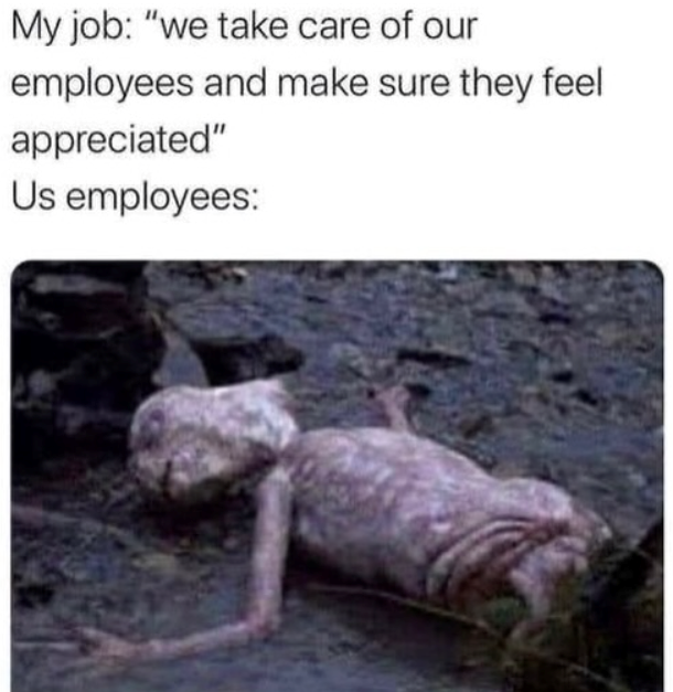 My job: "we take care of our employees and make sure they feel appreciated" Us employees: