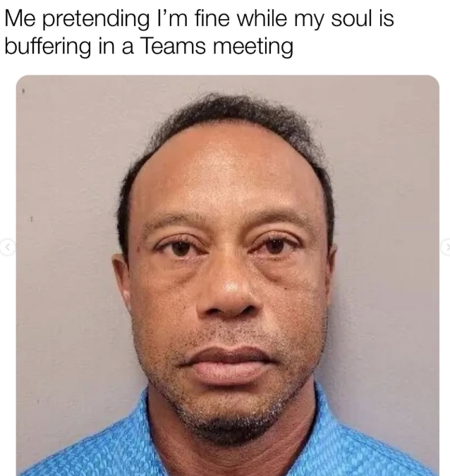 Me pretending I'm fine while my soul is buffering in a Teams meeting