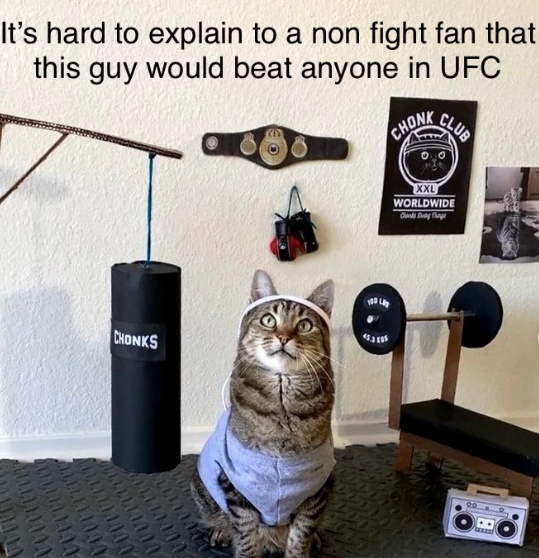 www wwww ww It's hard to explain to a non fight fan that this guy would beat anyone in UFC CHONK CLUB CHONKS XXL WORLDWIDE Chunks Day Tay Ree