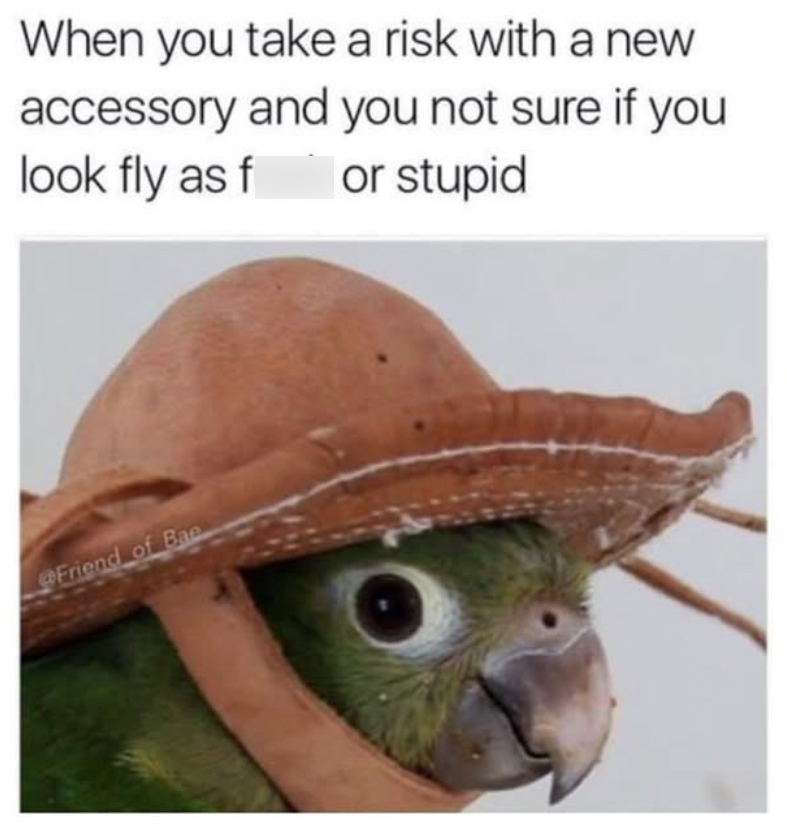 When you take a risk with a new accessory and you not sure if you look fly as f or stupid @Friend of Bae