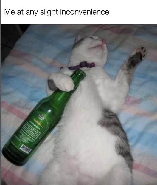 Me at any slight inconvenience