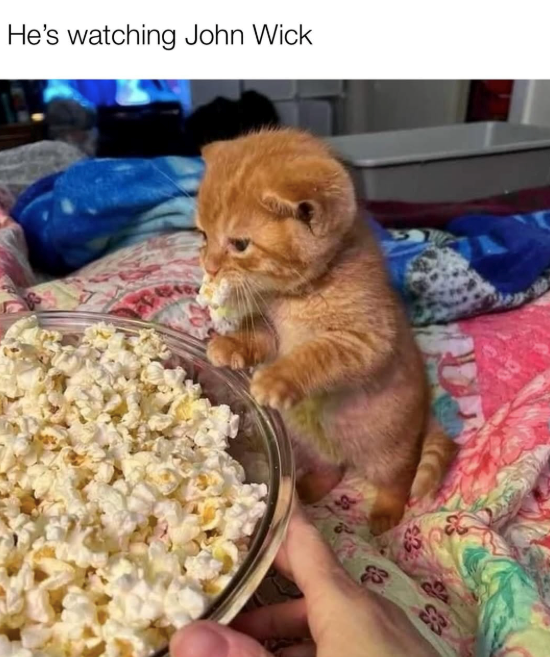 He's watching John Wick