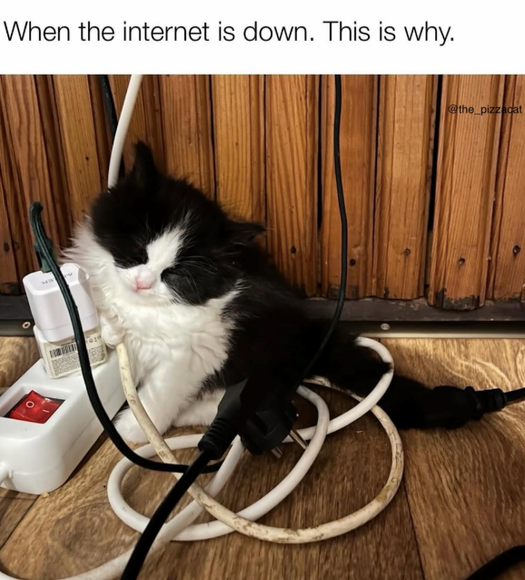When the internet is down. This is why. @the_pizzacat