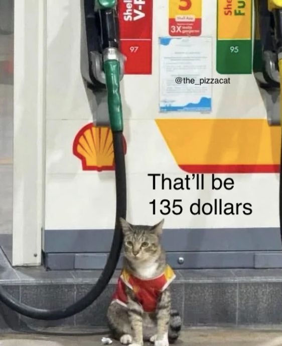 Shel V-F 46 97 She Ով Shall 3X 95 95 @the_pizzacat That'll be 135 dollars