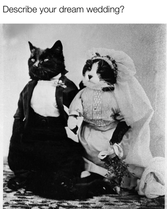 Describe your dream wedding?