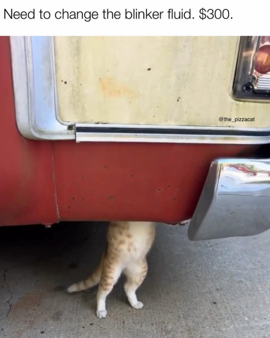 Need to change the blinker fluid. $300. @the_pizzacat
