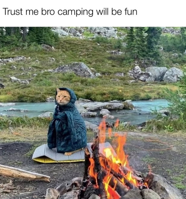 Trust me bro camping will be fun
